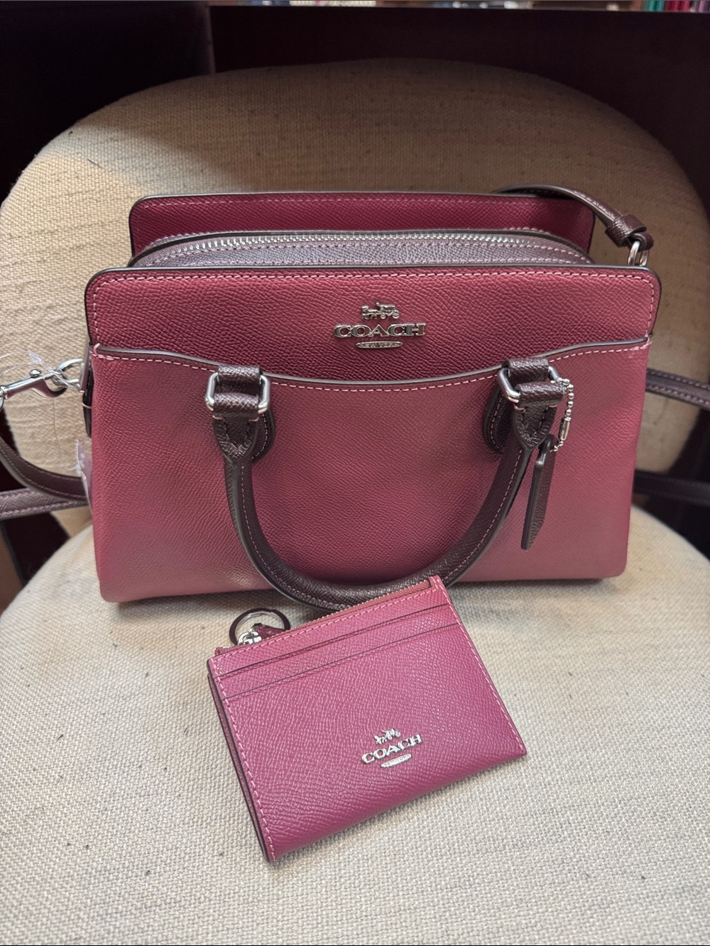 Coach Darcie Leather Crossbody Satchel with Matching Card Case